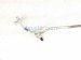 2021 Nissan Rogue Ac Hose Line A/c Heat Exchange Pipe 2.5l Sv 92446 6RA0B Replacement 2021 Nissan Rogue Ac Hose Line A/c Heat Exchange Pipe 2.5l Sv 92446 6RA0B Replacement thumbnail