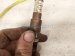 2021 Nissan Rogue Rear Exhaust Oxygen Sensor 2.5l 226A0 6CC0B Replacement 2021 Nissan Rogue Rear Exhaust Oxygen Sensor 2.5l 226A0 6CC0B Replacement thumbnail