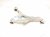 2021 Nissan Rogue Rear Driver Upper Control Arm 55502 6RR0B Replacement 2021 Nissan Rogue Rear Driver Upper Control Arm 55502 6RR0B Replacement thumbnail