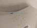 2024 Acura Integra Rocker Trim Driver Side Skirt / Molding White 71850 31M A01ZE Replacement 2024 Acura Integra Rocker Trim Driver Side Skirt / Molding White 71850 31M A01ZE Replacement thumbnail