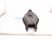 2024 Acura Integra Rear Passenger Spring Seat Lower Control Arm 52350 T22 A01 Replacement 2024 Acura Integra Rear Passenger Spring Seat Lower Control Arm 52350 T22 A01 Replacement thumbnail
