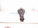 2024 Acura Integra Rear Driver Spring Seat Lower Control Arm 52355 T22 A01 Replacement 2024 Acura Integra Rear Driver Spring Seat Lower Control Arm 52355 T22 A01 Replacement thumbnail