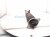 2024 Acura Integra Strut / Spring / Rear Passenger Shock Absorber 52610 31M A01 Replacement 2024 Acura Integra Strut / Spring / Rear Passenger Shock Absorber 52610 31M A01 Replacement thumbnail