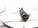 2024 Acura Integra Strut / Spring / Rear Passenger Shock Absorber 52610 31M A01 Replacement 2024 Acura Integra Strut / Spring / Rear Passenger Shock Absorber 52610 31M A01 Replacement thumbnail