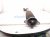 2024 Acura Integra Strut / Spring / Rear Driver Shock Absorber 52620 31M A01 Replacement 2024 Acura Integra Strut / Spring / Rear Driver Shock Absorber 52620 31M A01 Replacement thumbnail