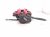 2024 Acura Integra Rear Driver Brake Caliper 43220 TGH A01 Replacement 2024 Acura Integra Rear Driver Brake Caliper 43220 TGH A01 Replacement thumbnail