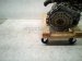 2024 Honda Accord Long Block Engine / Motor = Mi* 10002 6NH A01 Replacement 2024 Honda Accord Long Block Engine / Motor = Mi* 10002 6NH A01 Replacement thumbnail