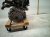 2024 Honda Accord Long Block Engine / Motor = Mi* 10002 6NH A01 Replacement 2024 Honda Accord Long Block Engine / Motor = Mi* 10002 6NH A01 Replacement thumbnail