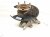2024 Honda Accord Axle Stub Rear Driver Spindle Knuckle Hub 52215 30B A00 Replacement 2024 Honda Accord Axle Stub Rear Driver Spindle Knuckle Hub 52215 30B A00 Replacement thumbnail