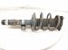 Sold 2024 Honda Accord Front Passenger Strut Absorber + Spring 51610 30B A91 Replacement Sold 2024 Honda Accord Front Passenger Strut Absorber + Spring 51610 30B A91 Replacement thumbnail