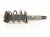 Sold 2024 Honda Accord Front Passenger Strut Absorber + Spring 51610 30B A91 Replacement Sold 2024 Honda Accord Front Passenger Strut Absorber + Spring 51610 30B A91 Replacement thumbnail