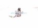 2025 Acura Integra High Pressure Fuel Pump Engine Mtd 06161 5PC 315 Replacement 2025 Acura Integra High Pressure Fuel Pump Engine Mtd 06161 5PC 315 Replacement thumbnail