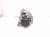 2025 Acura Integra Core Core Alternator / Generator 31100 5PA A02 Replacement 2025 Acura Integra Core Core Alternator / Generator 31100 5PA A02 Replacement thumbnail