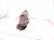 2021 Acura ILX Exhaust Manifold 2.4l Fed 18180 R4H A10 Replacement 2021 Acura ILX Exhaust Manifold 2.4l Fed 18180 R4H A10 Replacement thumbnail