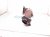 2021 Acura ILX Exhaust Manifold 2.4l Fed 18180 R4H A10 Replacement 2021 Acura ILX Exhaust Manifold 2.4l Fed 18180 R4H A10 Replacement thumbnail