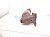 2021 Acura ILX Exhaust Manifold 2.4l Fed 18180 R4H A10 Replacement 2021 Acura ILX Exhaust Manifold 2.4l Fed 18180 R4H A10 Replacement thumbnail