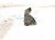 2024 Toyota Rav 4 Egr Pipe 2.5l Fwd 25601 25030 Replacement 2024 Toyota Rav 4 Egr Pipe 2.5l Fwd 25601 25030 Replacement thumbnail