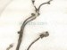 2018 Toyota Tacoma Rear Bumper Wire Harness W/sensors 32108 T22 A31 Replacement 2018 Toyota Tacoma Rear Bumper Wire Harness W/sensors 32108 T22 A31 Replacement thumbnail
