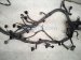 2015 Lexus Rx350 Main Engine Wire Harness 3.5l Awd 82121 48411 Replacement 2015 Lexus Rx350 Main Engine Wire Harness 3.5l Awd 82121 48411 Replacement thumbnail