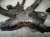 2024 Toyota Rav 4 Engine Wire Harness 2.5l At Fwd 82121 0R522 Replacement 2024 Toyota Rav 4 Engine Wire Harness 2.5l At Fwd 82121 0R522 Replacement thumbnail