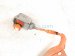 2022 Lexus Ux250h Battery Cable High Voltage Ac Wiring Harness Hyb 821H2 76010 Replacement 2022 Lexus Ux250h Battery Cable High Voltage Ac Wiring Harness Hyb 821H2 76010 Replacement thumbnail