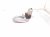 2020 Toyota Avalon Engine/motor Driver Side Engine Mount 2.5l Hyb Fwd 12306 F0010 Replacement 2020 Toyota Avalon Engine/motor Driver Side Engine Mount 2.5l Hyb Fwd 12306 F0010 Replacement thumbnail