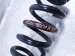 2024 Honda Prologue Strut / / Shock Absorber Rear Passenger Coil Spring Electric Fwd Replacement 2024 Honda Prologue Strut / / Shock Absorber Rear Passenger Coil Spring Electric Fwd Replacement thumbnail