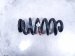 2024 Honda Prologue Strut / / Shock Absorber Rear Driver Coil Spring Electric Fwd Replacement 2024 Honda Prologue Strut / / Shock Absorber Rear Driver Coil Spring Electric Fwd Replacement thumbnail