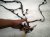 2024 Hyundai Sonata Engine Room Wiring Harness 2.5l Fwd 91831 3L150 Replacement 2024 Hyundai Sonata Engine Room Wiring Harness 2.5l Fwd 91831 3L150 Replacement thumbnail