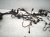 2024 Hyundai Sonata Engine Room Wiring Harness 2.5l Fwd 91831 3L150 Replacement 2024 Hyundai Sonata Engine Room Wiring Harness 2.5l Fwd 91831 3L150 Replacement thumbnail