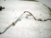 2018 Toyota Tacoma Body Frame Wire Harness Trd 82164 04D52 Replacement 2018 Toyota Tacoma Body Frame Wire Harness Trd 82164 04D52 Replacement thumbnail