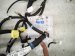 2025 Toyota Tacoma Dash Instrument Wire Harness 4x4 82141 AK141A Replacement 2025 Toyota Tacoma Dash Instrument Wire Harness 4x4 82141 AK141A Replacement thumbnail