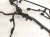 2025 Honda CR V Parking Aid System Wiring Harness 32130 3C2 Z00 Replacement 2025 Honda CR V Parking Aid System Wiring Harness 32130 3C2 Z00 Replacement thumbnail