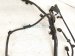 2025 Honda CR V Parking Aid System Wiring Harness 32130 3C2 Z00 Replacement 2025 Honda CR V Parking Aid System Wiring Harness 32130 3C2 Z00 Replacement thumbnail