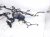 2026 Kia K4 Engine Room Harness W/fuse 2.0l Fwd 91230 GG110 Replacement 2026 Kia K4 Engine Room Harness W/fuse 2.0l Fwd 91230 GG110 Replacement thumbnail