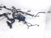 2026 Kia K4 Engine Room Harness W/fuse 2.0l Fwd 91230 GG110 Replacement 2026 Kia K4 Engine Room Harness W/fuse 2.0l Fwd 91230 GG110 Replacement thumbnail