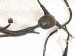 2022 Honda HR V Passenger Eng Room Harness W/fuse 1.8l Awd 32100 T7S A70 Replacement 2022 Honda HR V Passenger Eng Room Harness W/fuse 1.8l Awd 32100 T7S A70 Replacement thumbnail