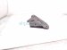 2021 Honda Accord Front Passenger Grille Cover 71169 TVA A00 Replacement 2021 Honda Accord Front Passenger Grille Cover 71169 TVA A00 Replacement thumbnail