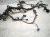 2026 Hyundai Venue Main Engine Wire Harness 1.6l At F 91417 K2090 Replacement 2026 Hyundai Venue Main Engine Wire Harness 1.6l At F 91417 K2090 Replacement thumbnail