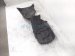 2018 Audi A5 Audi Front Passenger Inner Fender Liner 8W6 821 172 C Replacement 2018 Audi A5 Audi Front Passenger Inner Fender Liner 8W6 821 172 C Replacement thumbnail