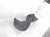 2018 Audi A5 Audi Front Passenger Inner Fender Liner 8W6 821 172 C Replacement 2018 Audi A5 Audi Front Passenger Inner Fender Liner 8W6 821 172 C Replacement thumbnail