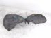2018 Audi A5 Audi Front Passenger Inner Fender Liner 8W6 821 172 C Replacement 2018 Audi A5 Audi Front Passenger Inner Fender Liner 8W6 821 172 C Replacement thumbnail
