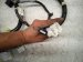 2022 Honda Passport Engine Room Harness W/fuse 3.5l Fwd 3210A TGT AN10 A Replacement 2022 Honda Passport Engine Room Harness W/fuse 3.5l Fwd 3210A TGT AN10 A Replacement thumbnail