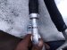 2024 Honda Prologue Ac Pipe A/c Line Hose Assy W/exp Vlv fwd Replacement 2024 Honda Prologue Ac Pipe A/c Line Hose Assy W/exp Vlv fwd Replacement thumbnail