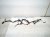 2025 Honda CR V Main Engine Wire Harness Hyb Fwd 32110 69F A70 Replacement 2025 Honda CR V Main Engine Wire Harness Hyb Fwd 32110 69F A70 Replacement thumbnail