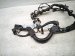 2022 Acura TLX Main Engine Wire Harness 2.0t Fwd 32110 6S8 A50 Replacement 2022 Acura TLX Main Engine Wire Harness 2.0t Fwd 32110 6S8 A50 Replacement thumbnail