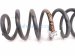 2020 Toyota Avalon Strut / / Shock Absorber Rear Passenger Coil Spring Electric Fwd 48231 07150 Replacement 2020 Toyota Avalon Strut / / Shock Absorber Rear Passenger Coil Spring Electric Fwd 48231 07150 Replacement thumbnail