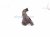2020 Toyota Avalon Egr Pipe 2.5l Hyb 25601 F0010 Replacement 2020 Toyota Avalon Egr Pipe 2.5l Hyb 25601 F0010 Replacement thumbnail
