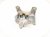 2021 Nissan Rogue Engine/motor Driver Side Engine Mount 2.5l Fwd 11220 6RA0A Replacement 2021 Nissan Rogue Engine/motor Driver Side Engine Mount 2.5l Fwd 11220 6RA0A Replacement thumbnail