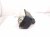 2024 Acura Integra Passenger Dash Airbag Black 77820 T20 A82 Replacement 2024 Acura Integra Passenger Dash Airbag Black 77820 T20 A82 Replacement thumbnail